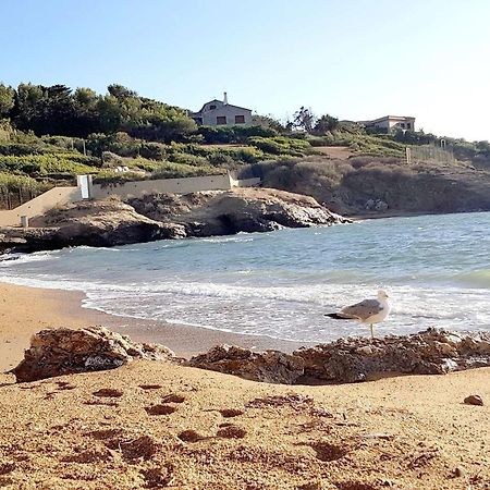 T3 Climatise Avec Jardin, Parking Prive, A 400M De La Plage Et Commerces - Fr-1-316-230 Six-Fours-les-Plages Dış mekan fotoğraf