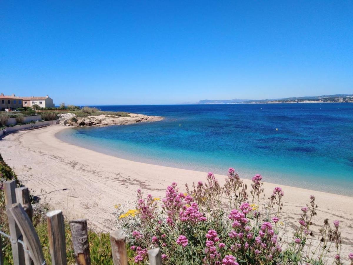 T3 Climatise Avec Jardin, Parking Prive, A 400M De La Plage Et Commerces - Fr-1-316-230 Six-Fours-les-Plages Dış mekan fotoğraf