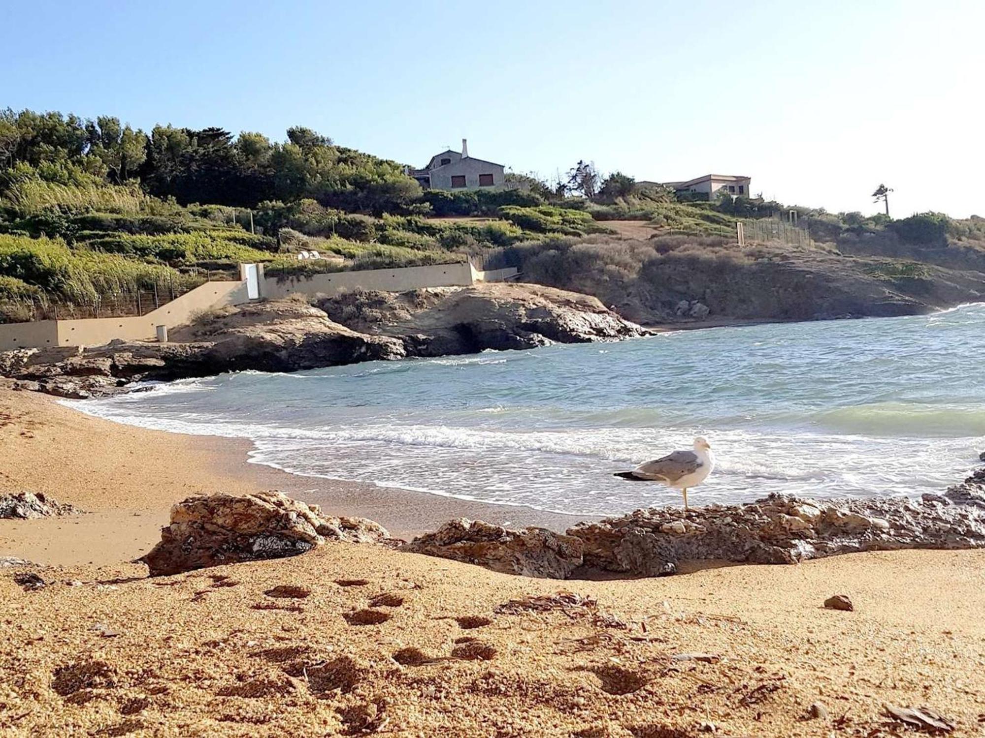 T3 Climatise Avec Jardin, Parking Prive, A 400M De La Plage Et Commerces - Fr-1-316-230 Six-Fours-les-Plages Dış mekan fotoğraf
